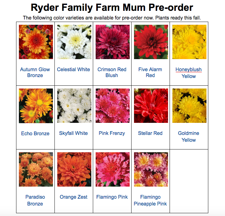 Handcrafted Raw Goat Milk Soap - Ryder Family Farm